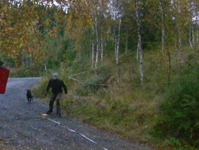 Elgskankkasting Tor 1.jpg - Tor kaster elgskank